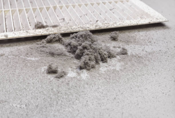 Best HVAC Air Duct Cleaning  in Corte Madera, CA